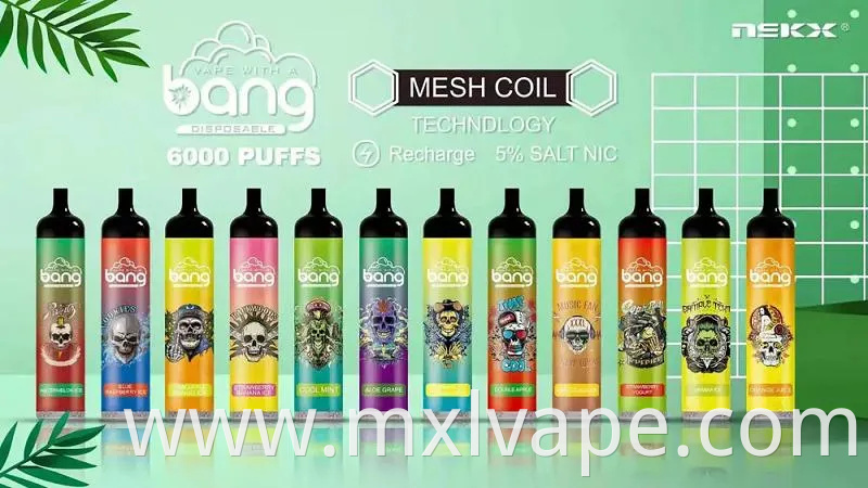 2023 Cheap Vaporizer Disposable Bang Vapes Big Puffs Vapor Bang King 6000